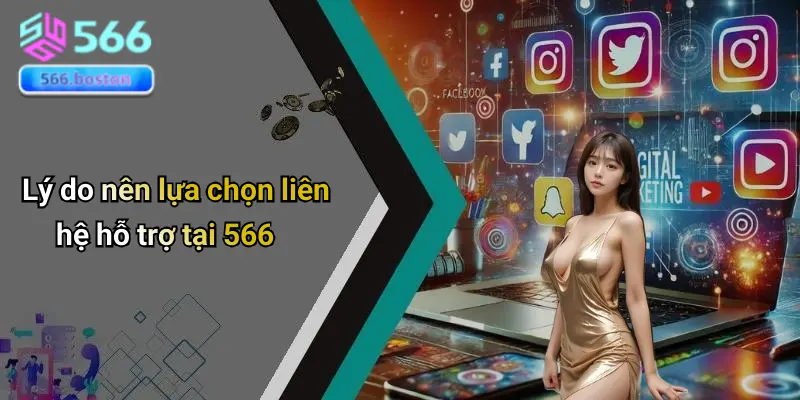 Liên Hệ 566 3 Liên Hệ 566