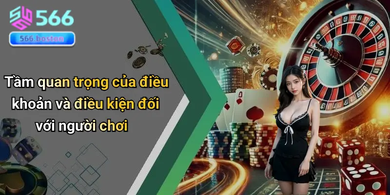 Điều Khoản Và Điều Kiện